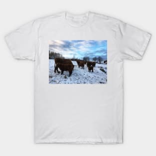 Scottish Highland Cattle Cows and Calves 1605 T-Shirt